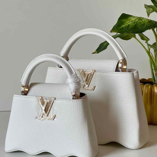 Louis Vuitton's Capucines Mini Bags-LV-BI-27